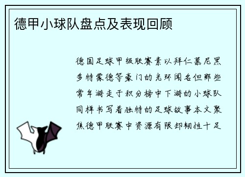 德甲小球队盘点及表现回顾